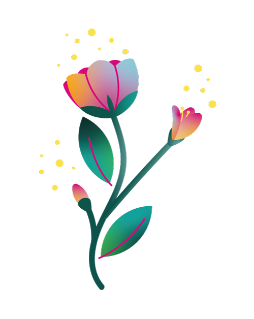 Pack éclosion - Document print