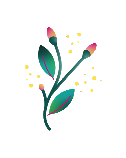 Pack petite pousse, identité visuelle